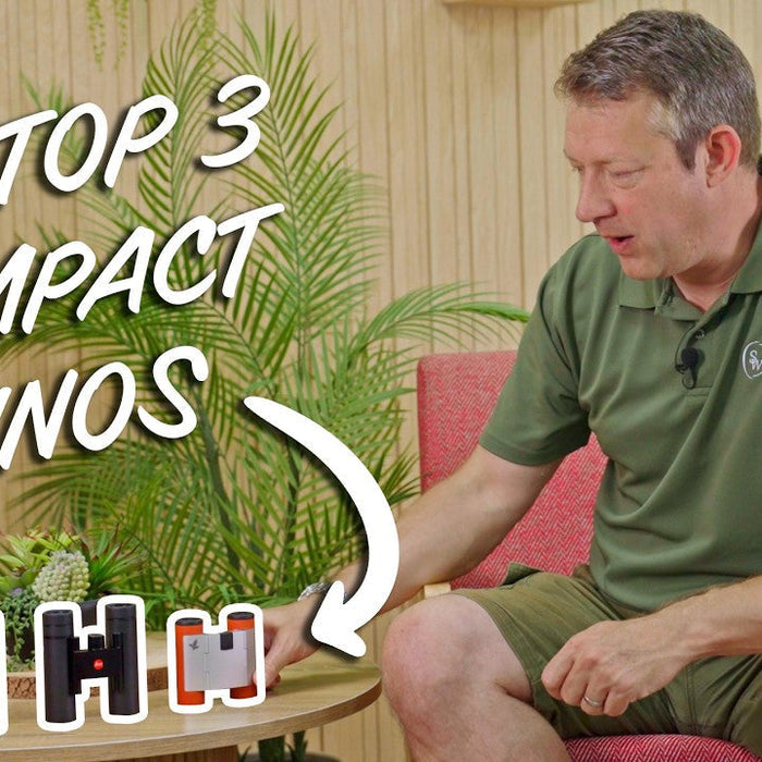 Best Compact Binoculars: Top Picks for Performance and Portability