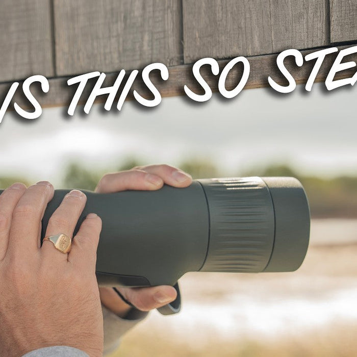 Swarovski ST Balance 14-35x50 Review: A Stabilised Spotting Scope for Handheld Wildlife Watching