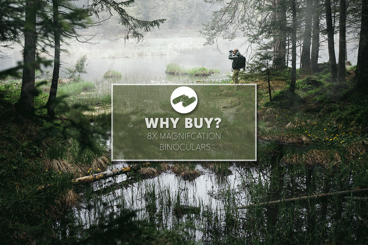 8x Binoculars - Why Buy? - South West Optics