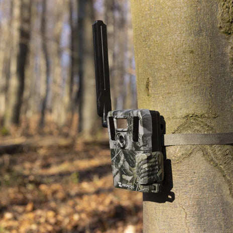 HIKMICRO M15 4G Trail Camera: Capturing Nature's Secrets