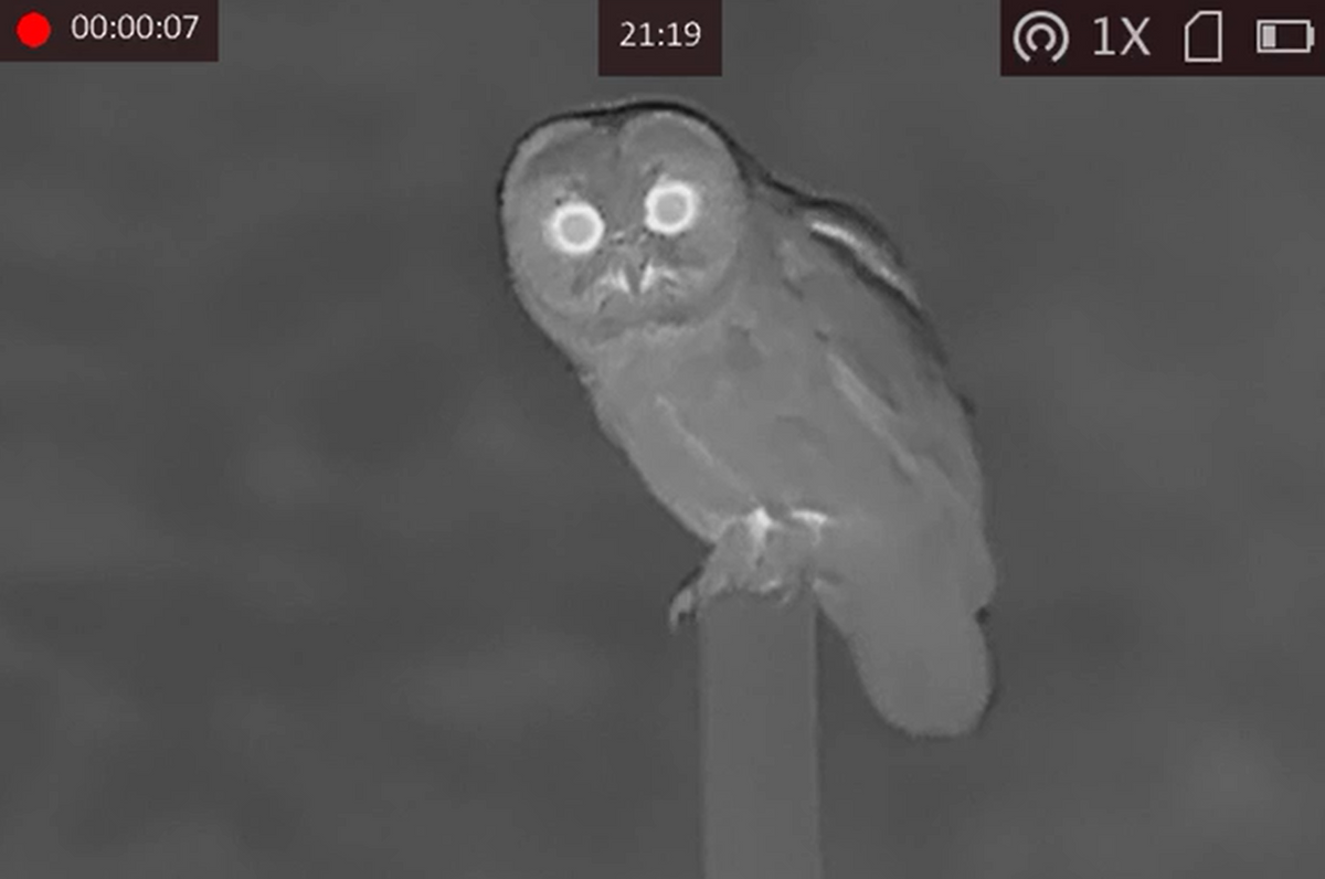 Night owl thermal sales camera