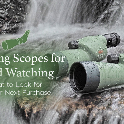 Spotting Scope for bird watching - South West Optics