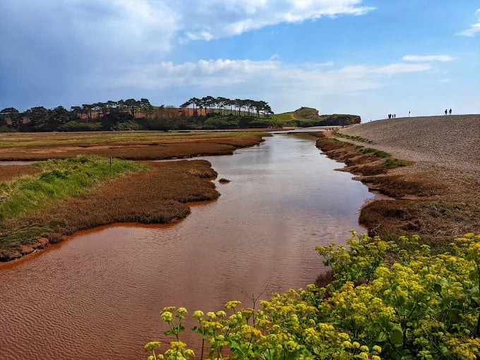 Join Us for the Wetland Weekender at River Otter
