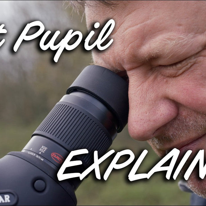 Understanding Exit Pupil in Binoculars and Spotting Scopes