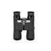 Pre-Owned Zeiss Dialyt 10x40B binoculars complete with leather pouch - SWO2H79