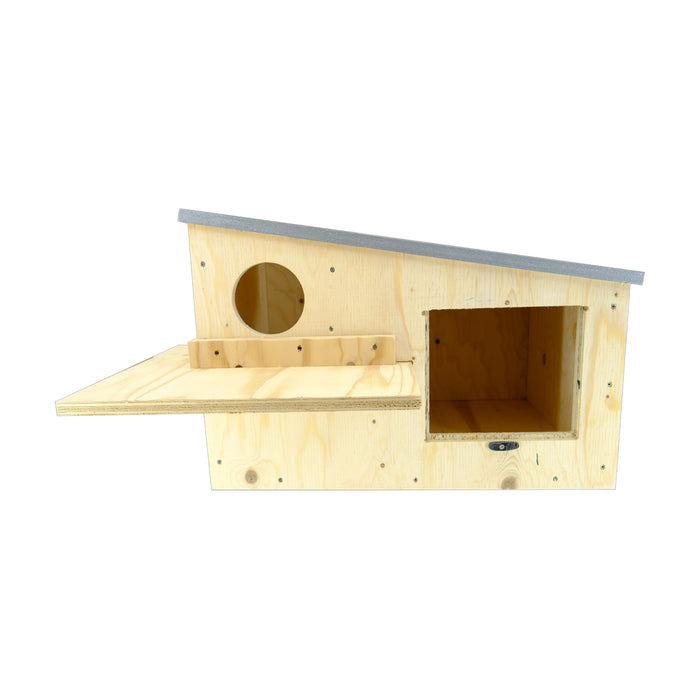 Peak Boxes Multi Species Raptor Box