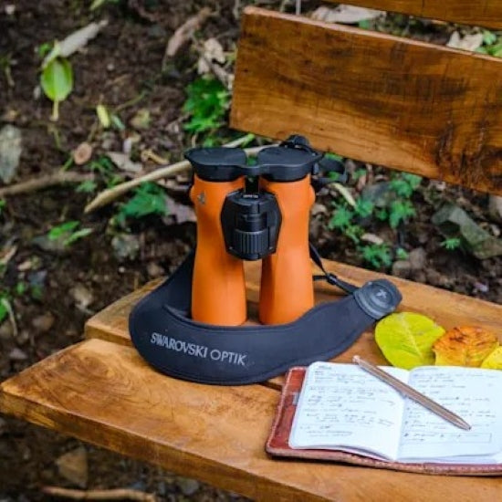 Swarovski NL Pure 10x42 Binoculars