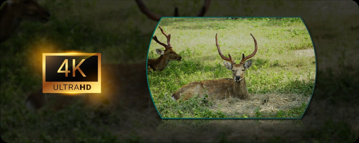 Pixfra DRACO Multispectral Binoculars