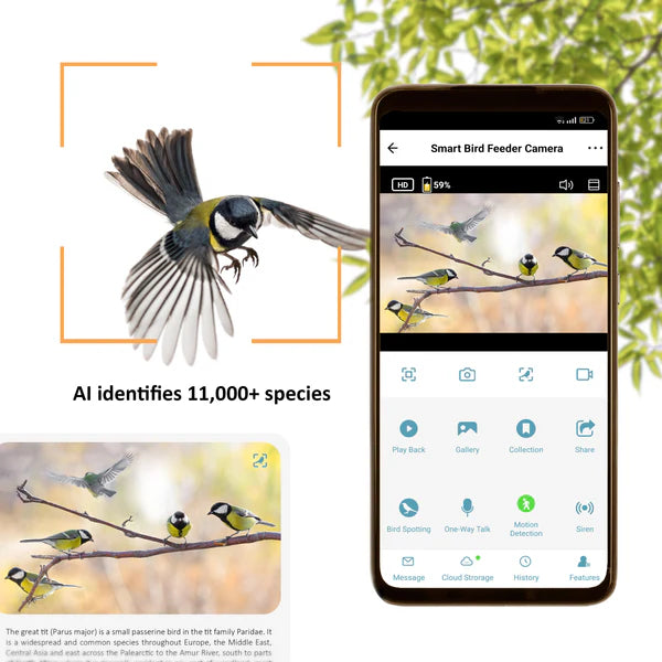 Camouflage EZ Bird Feeder with WiFi, Solar Panels and AI Camera