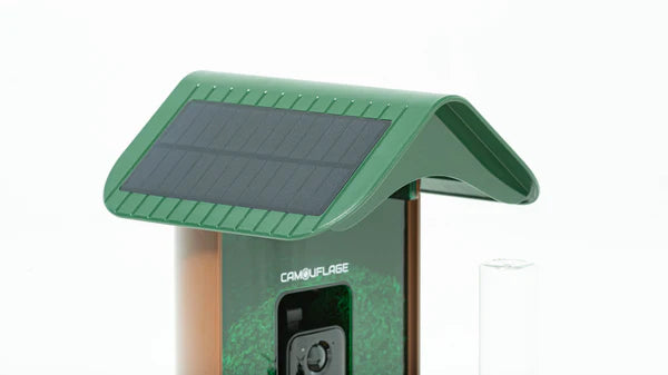 Camouflage EZ Bird Feeder with WiFi, Solar Panels and AI Camera