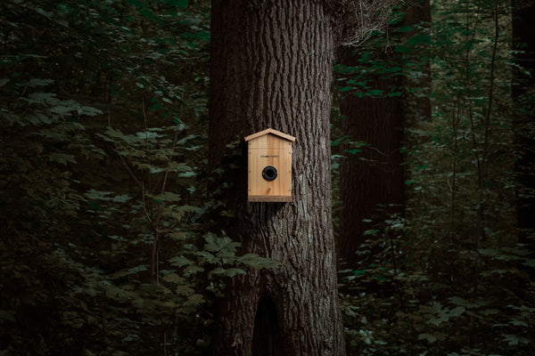 Camouflage EZ NestEye Bird House with WiFi, Solar Panels and AI Camera